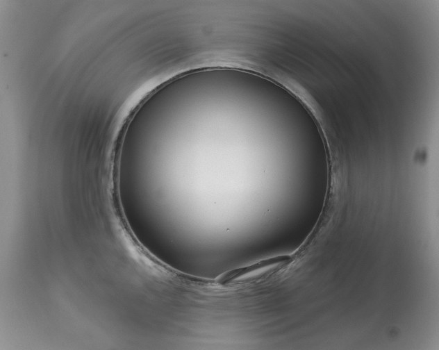 X0000113611144200910021758