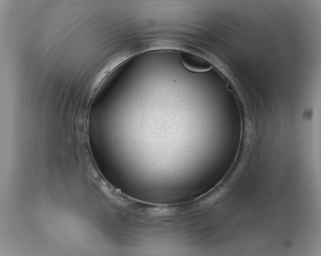 X0000113611145200910021758