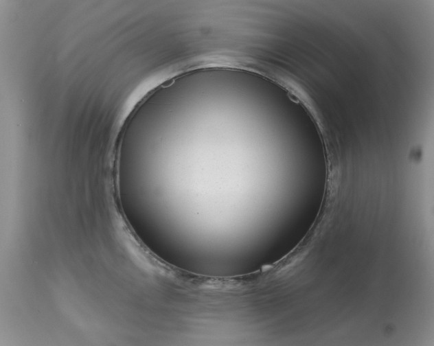 X0000113611146200910021758