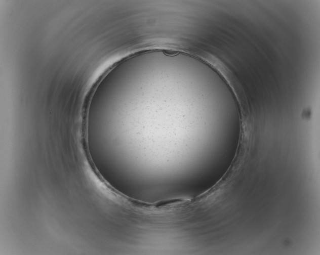 X0000113611147200910021758