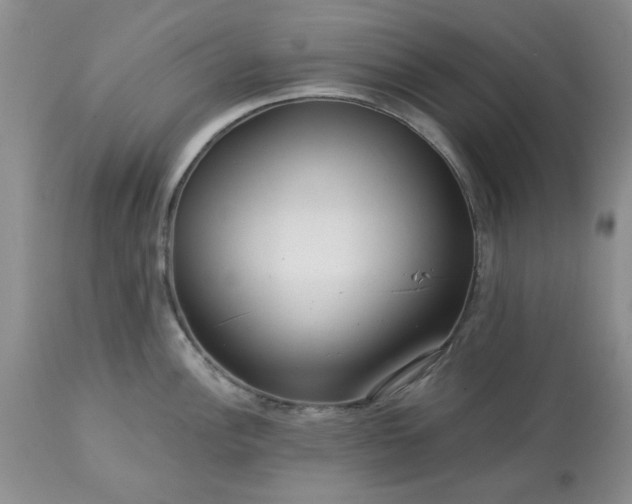 X0000113611148200910021758