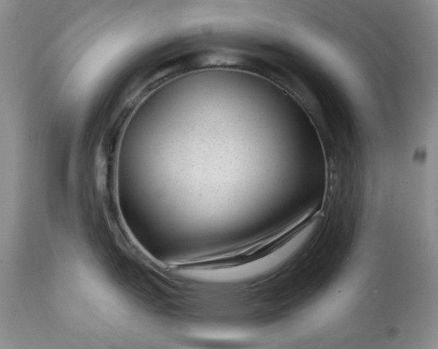 X0000113611151200910021758