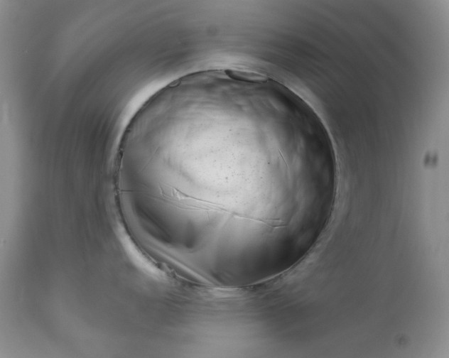 X0000113611152200910021758