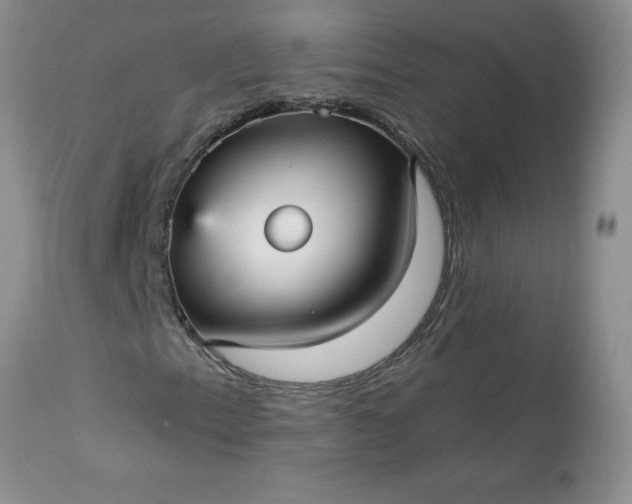 X0000113611153200910021758