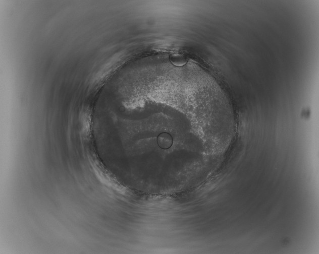 X0000113611154200910021758