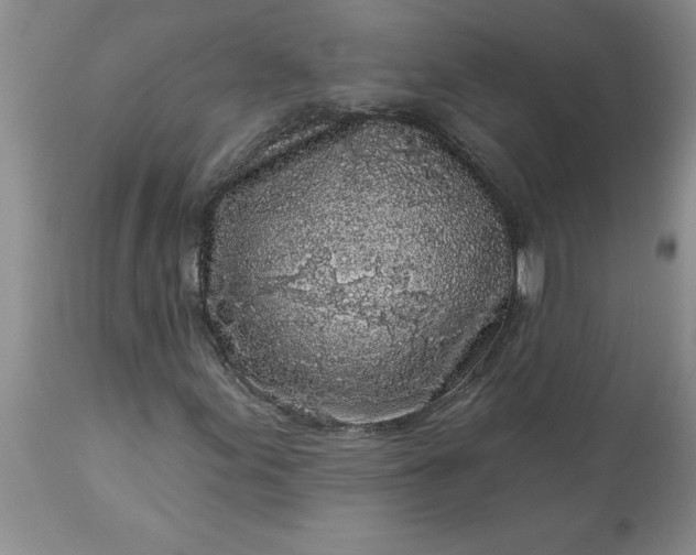 X0000113611155200910021758