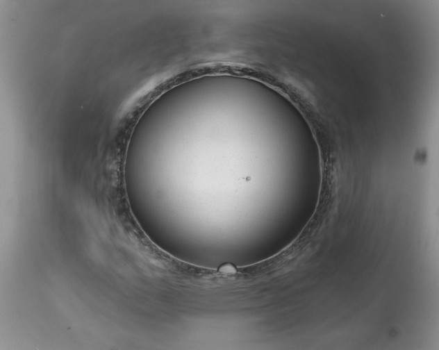 X0000113611159200910021758