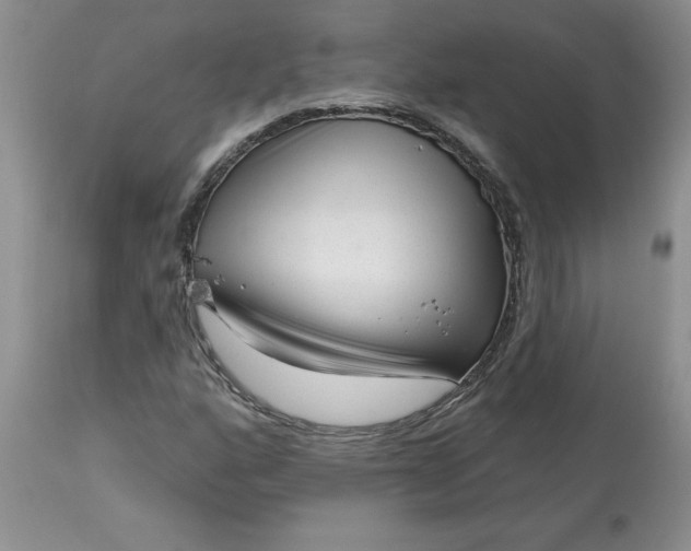 X0000113611160200910021758