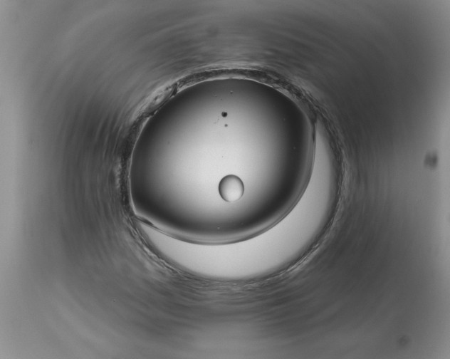 X0000113611161200910021758