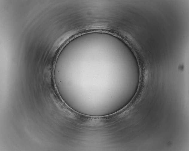 X0000113611162200910021758