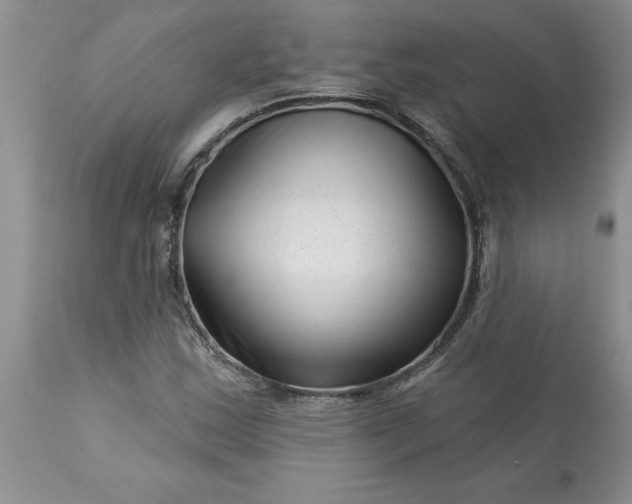 X0000113611163200910021758