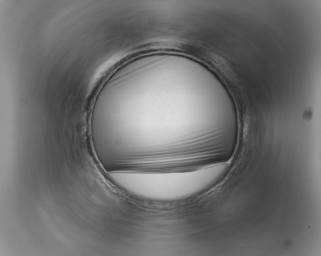 X0000113611164200910021758