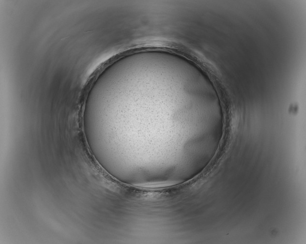 X0000113611166200910021757