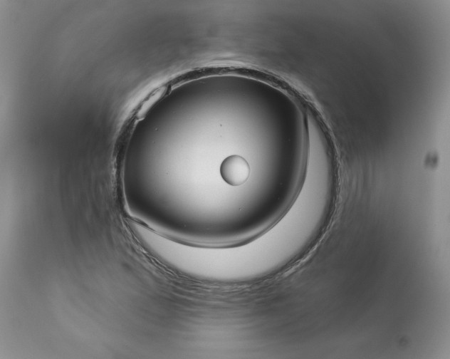 X0000113611167200910021757