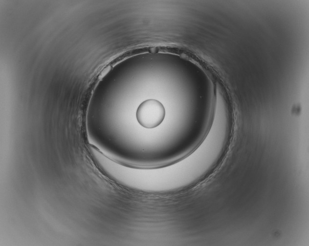 X0000113611169200910021757