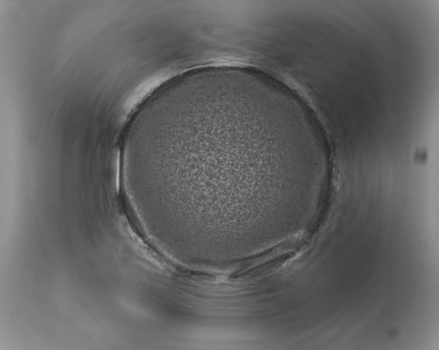 X0000113611171200910021757