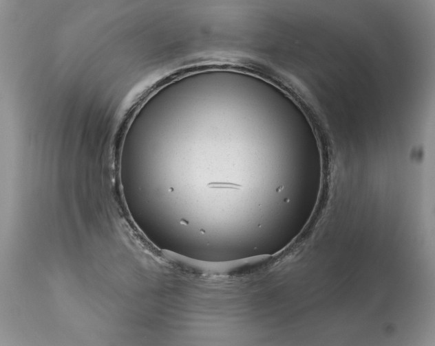 X0000113611172200910021757