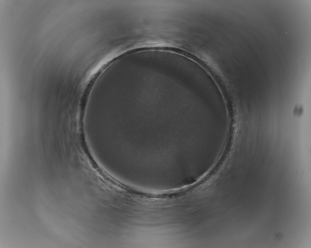 X0000113611173200910021757