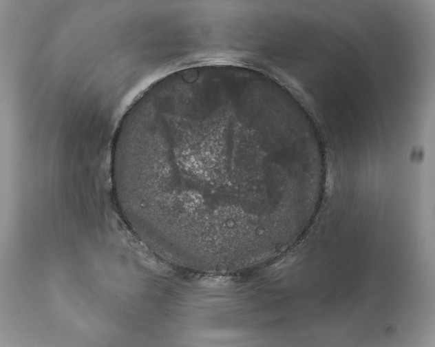 X0000113611174200910021757