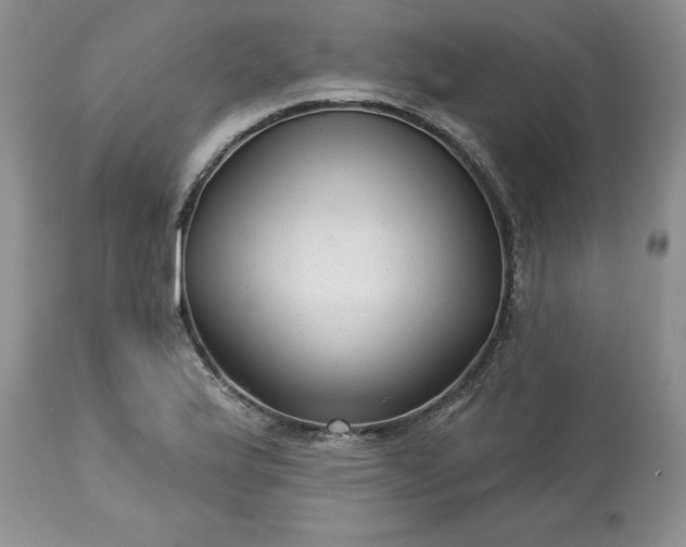 X0000113611175200910021757