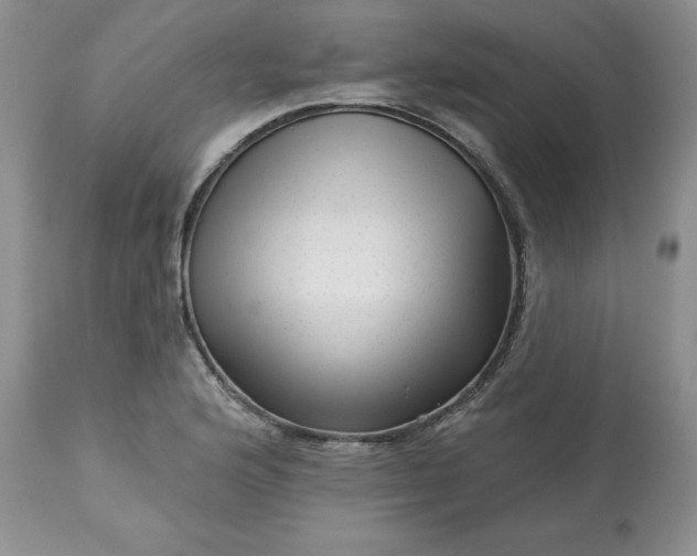 X0000113611176200910021757