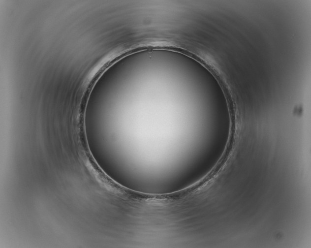 X0000113611181200910021757