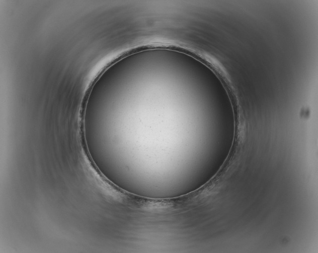 X0000113611183200910021757