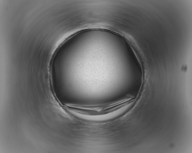 X0000113611184200910021757