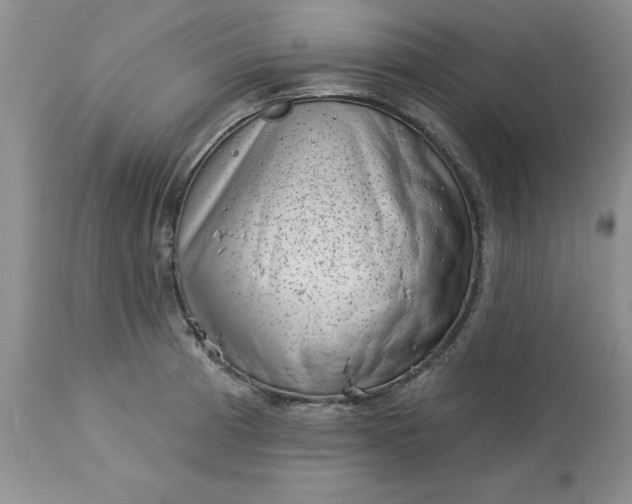 X0000113611185200910021757