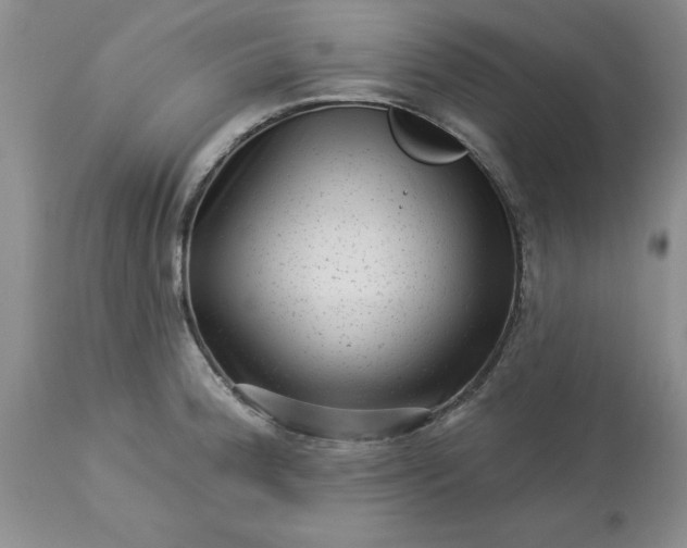 X0000113611188200910021757