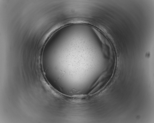 X0000113611189200910021757