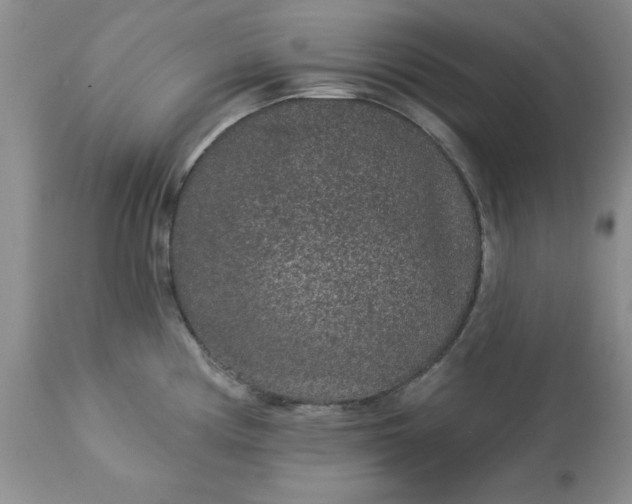 X0000113611194200910021757