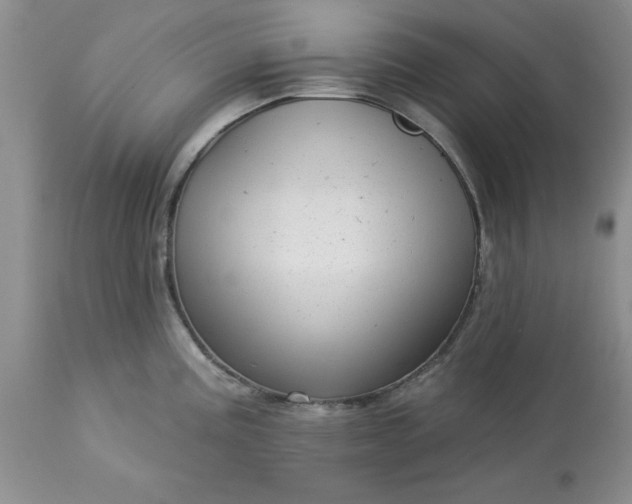 X0000113611195200910021757