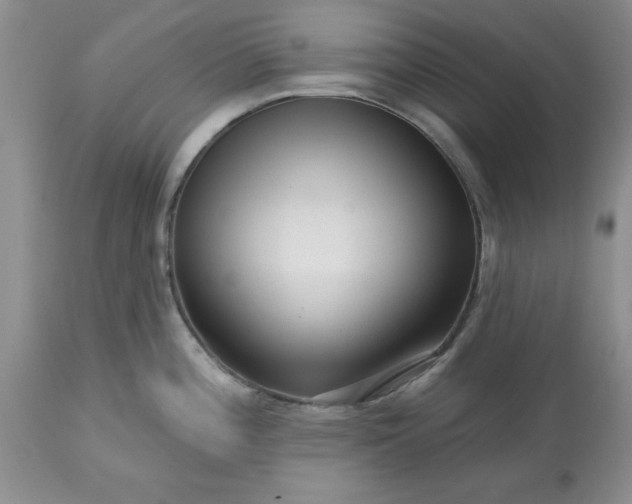 X0000113611196200910021757