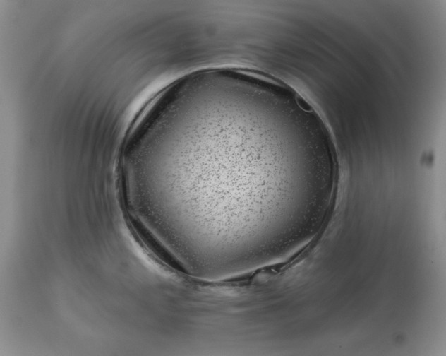 X0000113611197200910021757