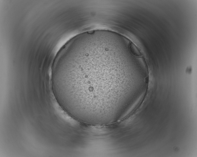 X0000113611198200910021757