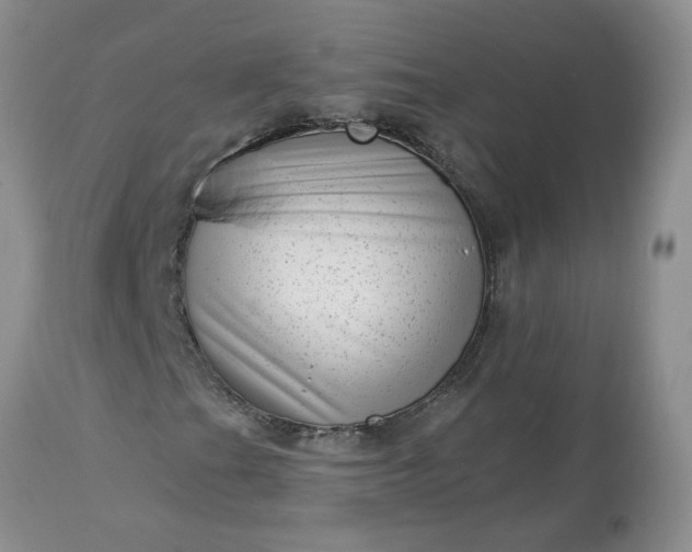 X0000113611201200910021756