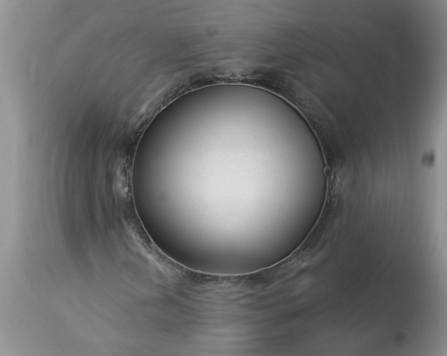 X0000113611202200910021756