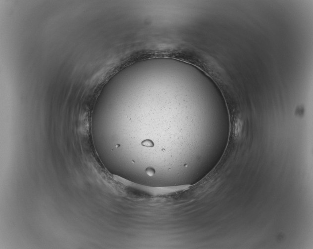 X0000113611204200910021756