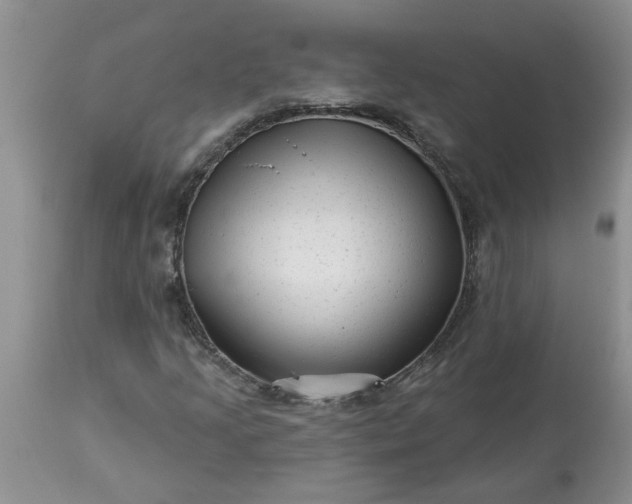 X0000113611205200910021756