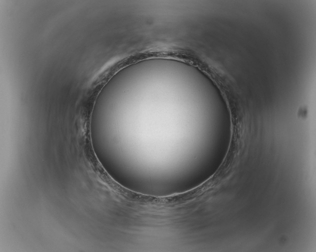 X0000113611206200910021756