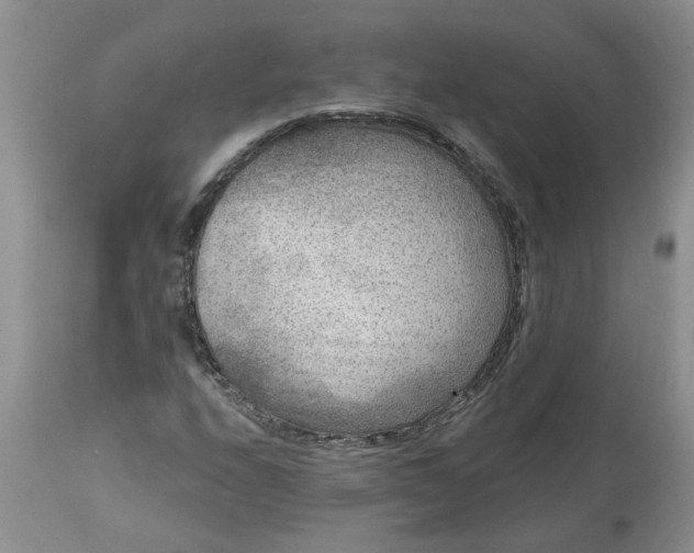 X0000113611208200910021756