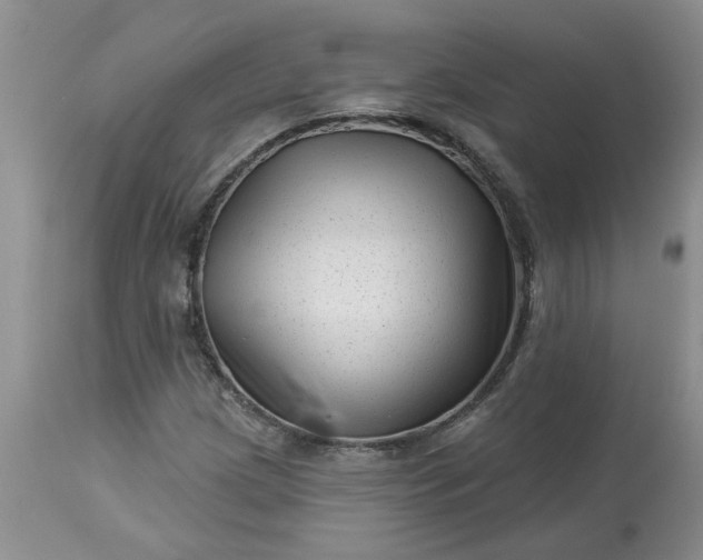 X0000113611209200910021756