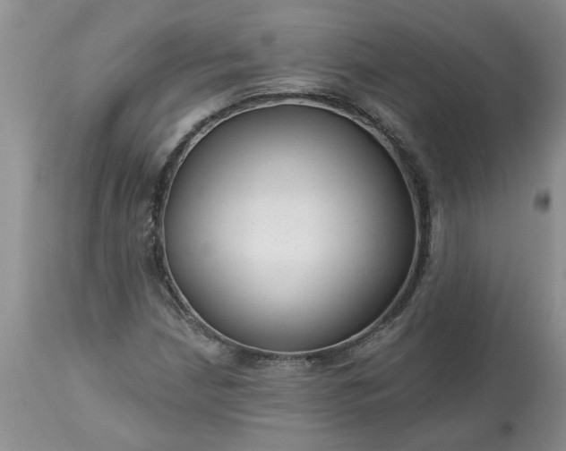 X0000113611210200910021756