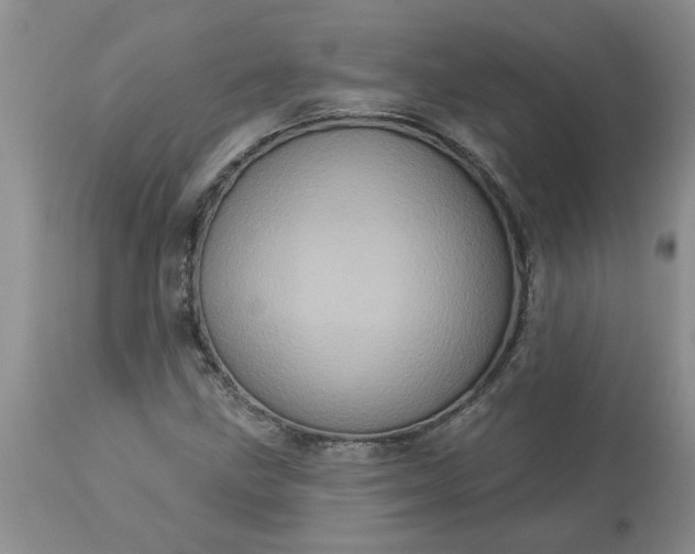 X0000113611211200910021756