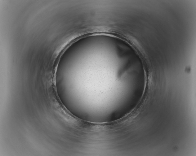 X0000113611212200910021757