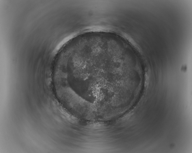 X0000113611213200910021757