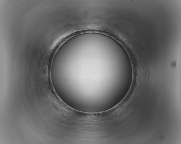 X0000113611214200910021757