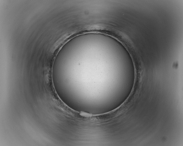 X0000113611217200910021757