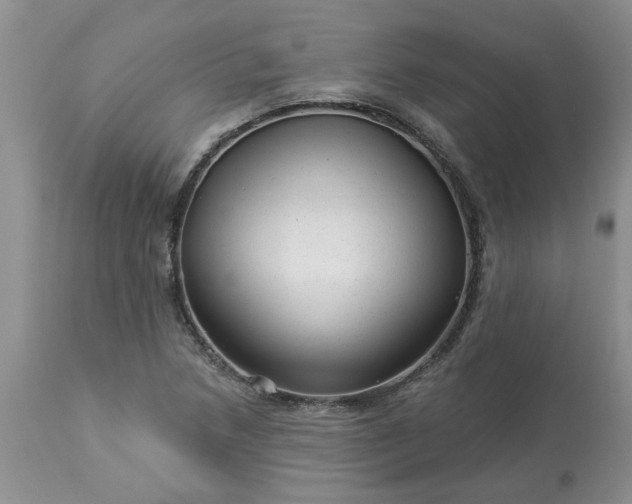 X0000113611218200910021757